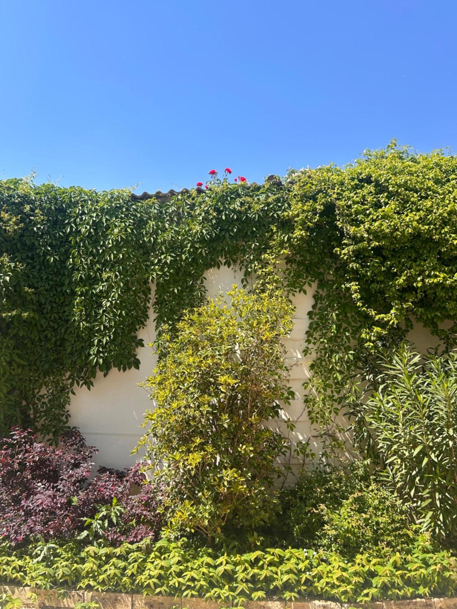 Pizzighettone Residenza La Corte ภายนอก รูปภาพ
